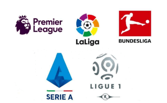 成功吸引了 成功吸引了